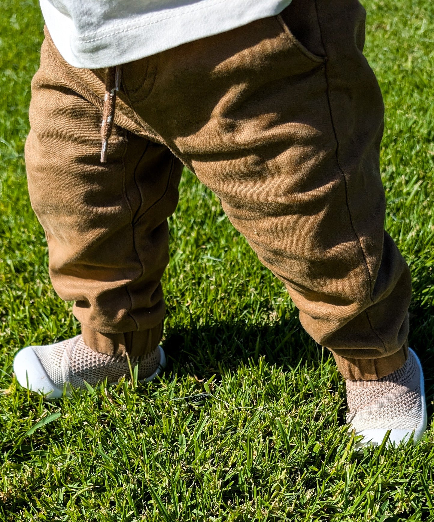 Coastal Series - Sand Dunes